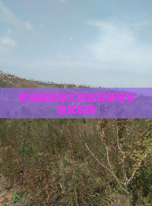 常德去恩施大峡谷攻略