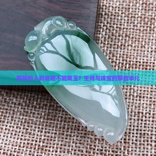 屬鼠的不適合帶玉