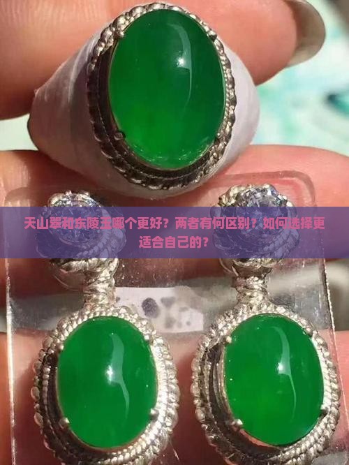 天山翠和东陵玉哪个更好？两者有何区别？如何选择更适合自己的？