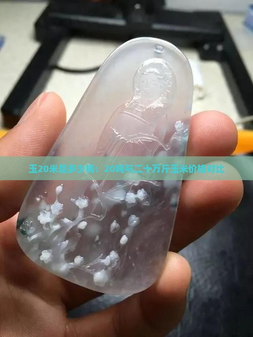 玉20米是多少钱：20吨与二十万斤玉米价格对比