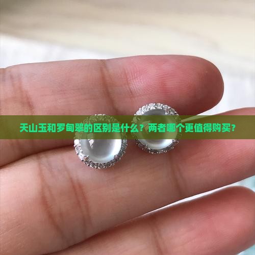 天山玉和罗甸翠的区别是什么？两者哪个更值得购买？