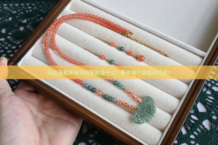 天山玉和罗甸翠的区别是什么？两者哪个更值得购买？