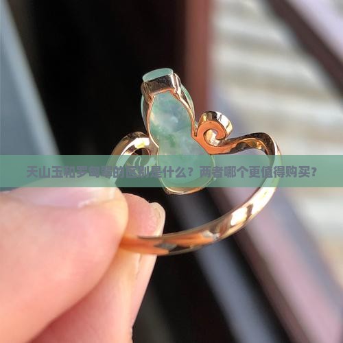 天山玉和罗甸翠的区别是什么？两者哪个更值得购买？