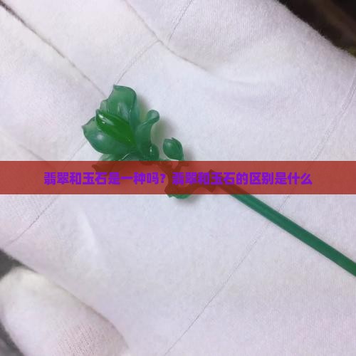 翡翠和玉石是一种吗？翡翠和玉石的区别是什么
