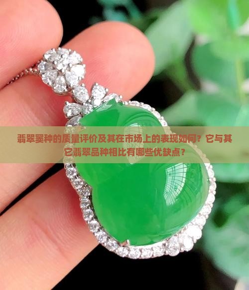翡翠窦种的质量评价及其在市场上的表现如何？它与其它翡翠品种相比有哪些优缺点？