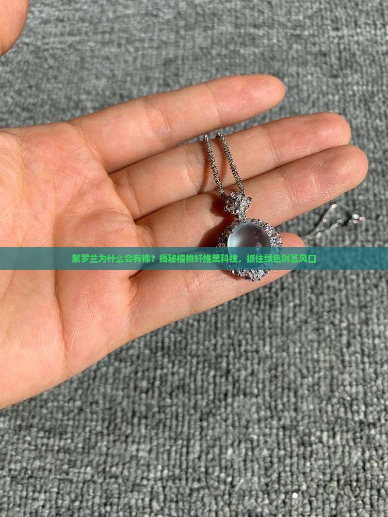 紫罗兰为什么会有棉？揭秘植物纤维黑科技，抓住绿色财富风口