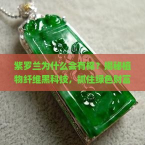 紫罗兰为什么会有棉？揭秘植物纤维黑科技，抓住绿色财富风口