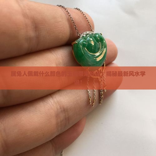 属兔人佩戴什么颜色的玉能带来好运？揭秘最新风水学说！