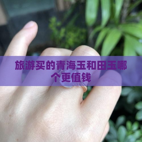 旅游买的青海玉和田玉哪个更值钱