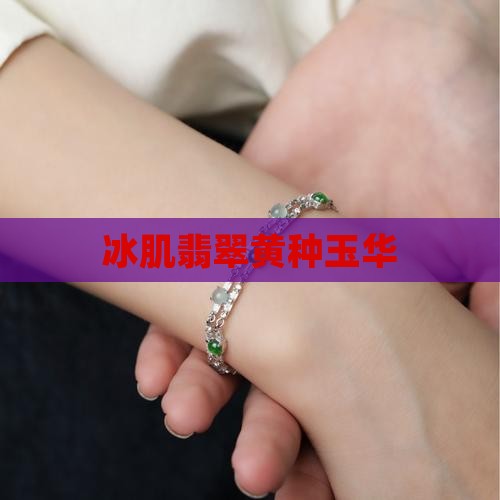 冰肌翡翠黄种玉华