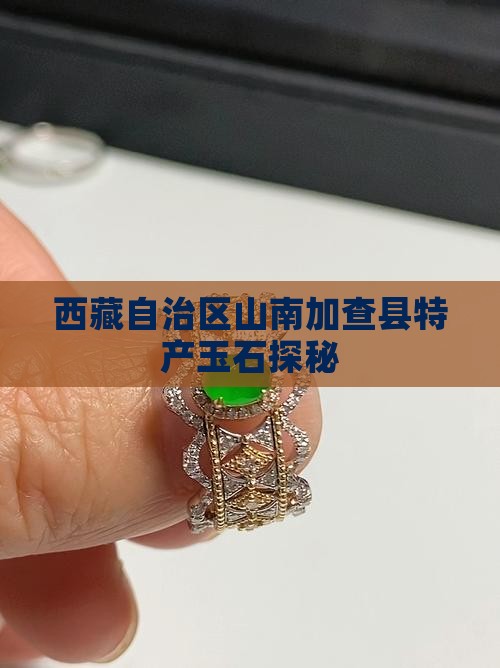 西藏自治区山南加查县特产玉石探秘 西藏自治区山南加查县特产玉石探秘