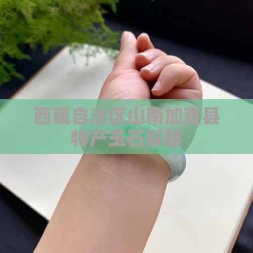 西藏自治区山南加查县特产玉石探秘 西藏自治区山南加查县特产玉石探秘