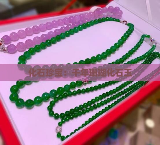 化石珍宝：千年珊瑚化石玉