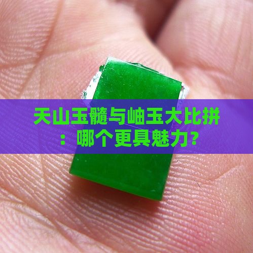 天山玉髓与岫玉大比拼：哪个更具魅力？
