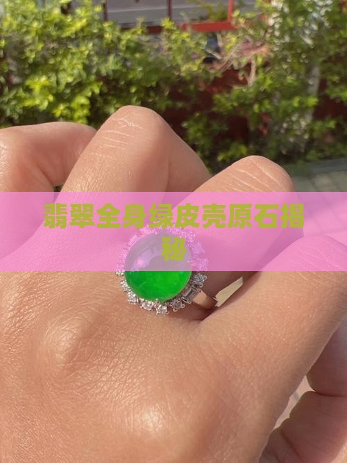 翡翠全身绿皮壳原石揭秘