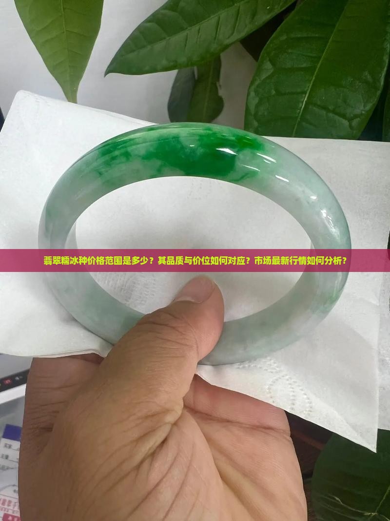 翡翠糯冰种价格范围是多少？其品质与价位如何对应？市场最新行情如何分析？