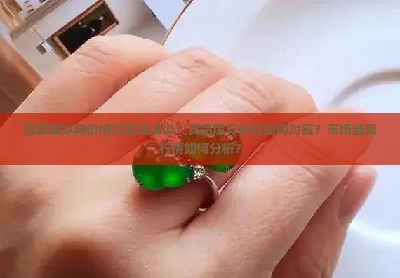 翡翠糯冰种价格范围是多少？其品质与价位如何对应？市场最新行情如何分析？