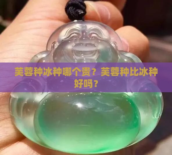 芙蓉种冰种哪个贵？芙蓉种比冰种好吗？