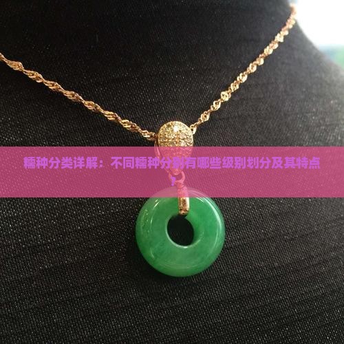 糯种分类详解：不同糯种分别有哪些级别划分及其特点？