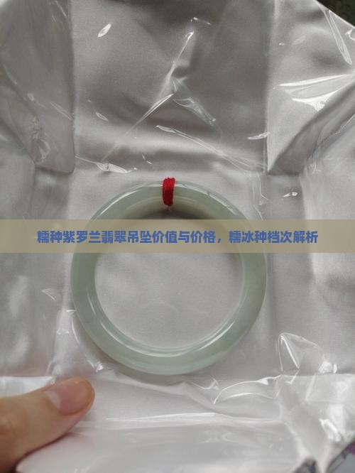 糯种紫罗兰翡翠吊坠价值与价格，糯冰种档次解析