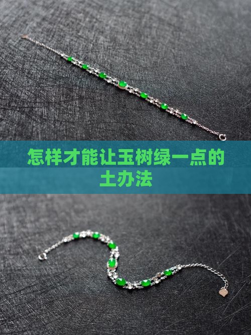 怎样才能让玉树绿一点的土办法
