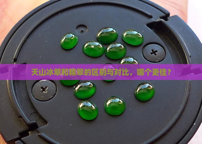 天山冰翠和糯翠的区别与对比，哪个更佳？