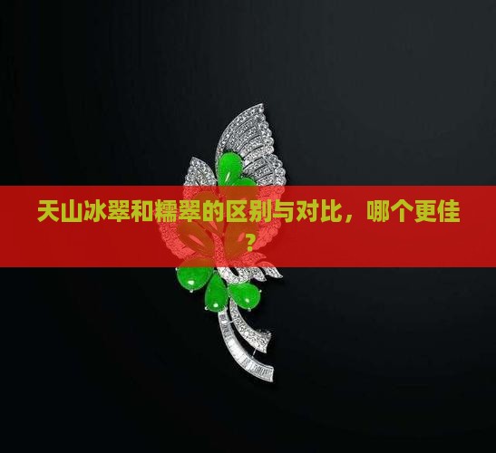 天山冰翠和糯翠的区别与对比，哪个更佳？