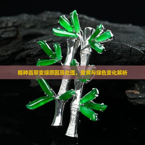 糯种翡翠变绿原因及处理，变黄与绿色变化解析