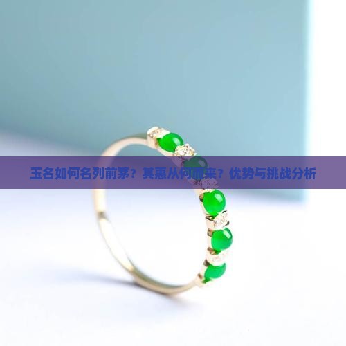 玉名如何名列前茅？其惠从何而来？优势与挑战分析