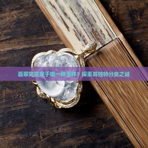 翡翠究竟属于哪一种玉种？探索其独特分类之谜