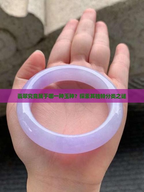 翡翠究竟属于哪一种玉种？探索其独特分类之谜