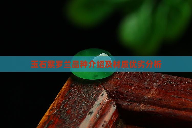 玉石紫罗兰品种介绍及材质优劣分析