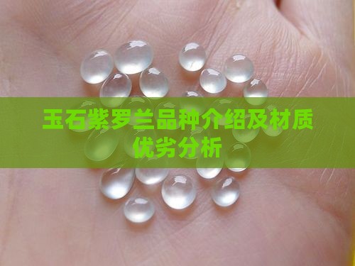 玉石紫罗兰品种介绍及材质优劣分析