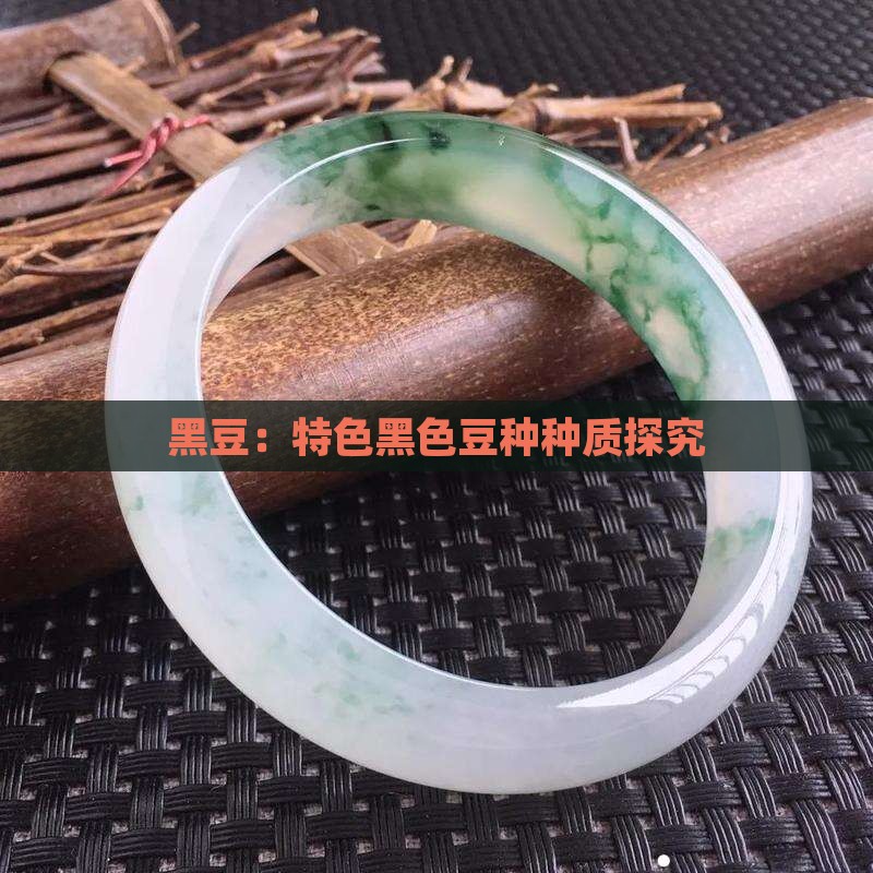 黑豆：特色黑色豆种种质探究