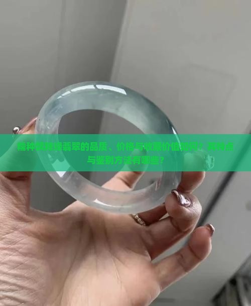 糯种飘辣绿翡翠的品质、价格与收藏价值如何？其特点与鉴别方法有哪些？