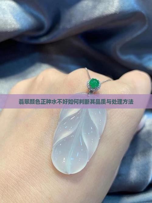 翡翠颜色正种水不好如何判断其品质与处理方法