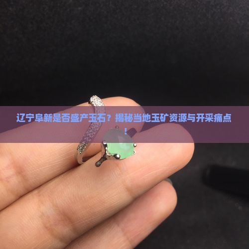 辽宁阜新是否盛产玉石？揭秘当地玉矿资源与开采痛点！