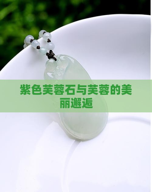紫色芙蓉石与芙蓉的美丽邂逅