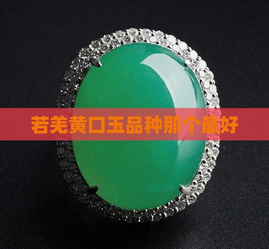 若羌黄口玉品种那个最好