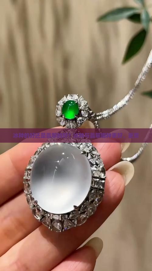 冰种的好还是翡翠的好？冰种与翡翠哪种更好、更贵