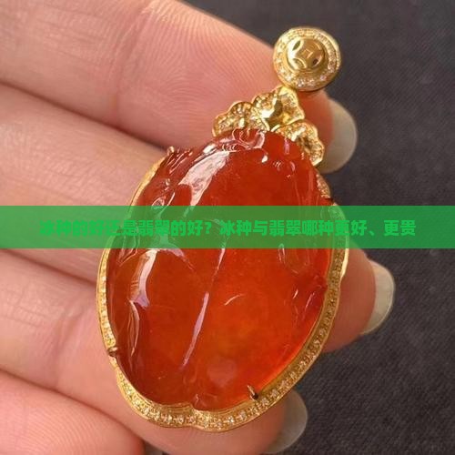 冰种的好还是翡翠的好？冰种与翡翠哪种更好、更贵
