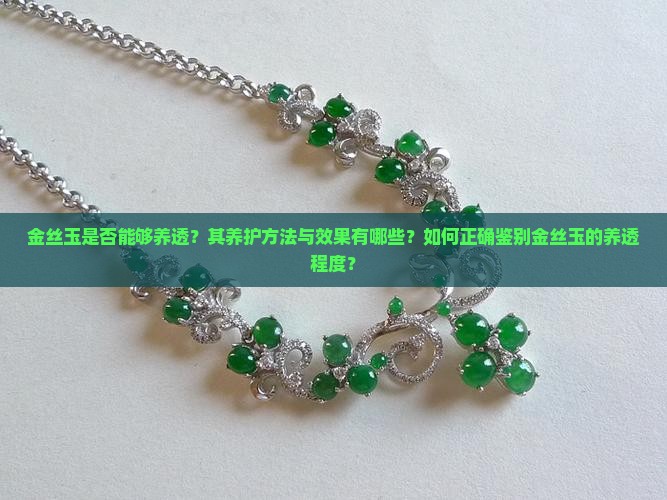 金丝玉是否能够养透？其养护方法与效果有哪些？如何正确鉴别金丝玉的养透程度？