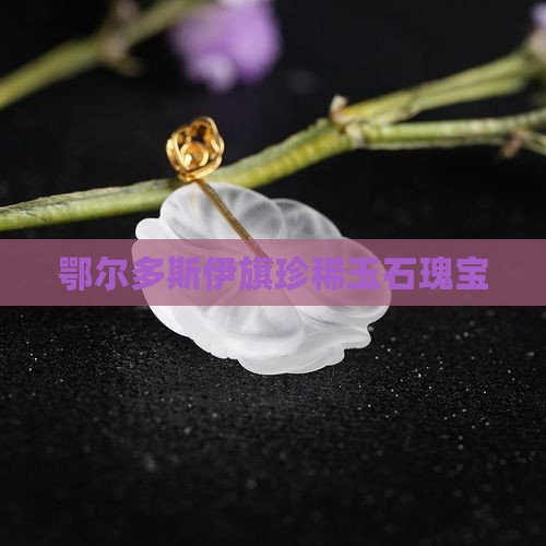 鄂尔多斯伊旗珍稀玉石瑰宝