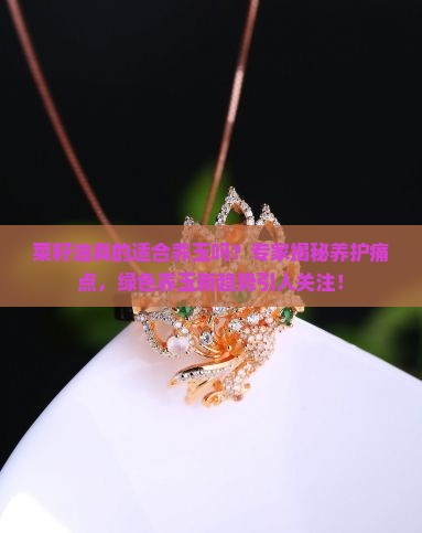 菜籽油真的适合养玉吗？专家揭秘养护痛点，绿色养玉新趋势引人关注！