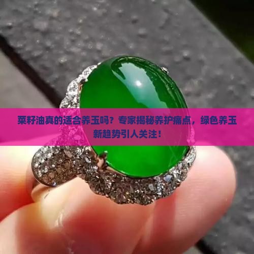菜籽油真的适合养玉吗？专家揭秘养护痛点，绿色养玉新趋势引人关注！