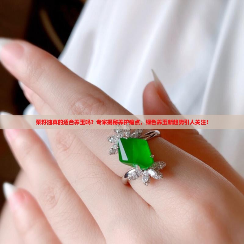 菜籽油真的适合养玉吗？专家揭秘养护痛点，绿色养玉新趋势引人关注！