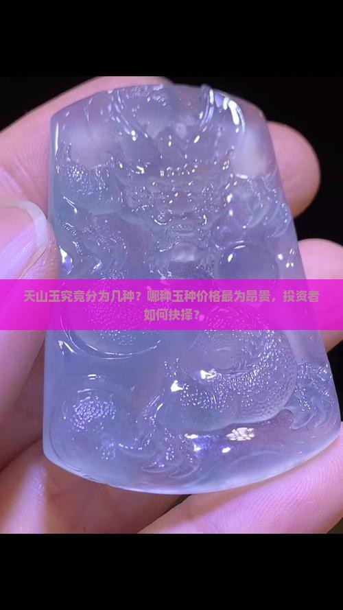 天山玉究竟分为几种？哪种玉种价格最为昂贵，投资者如何抉择？