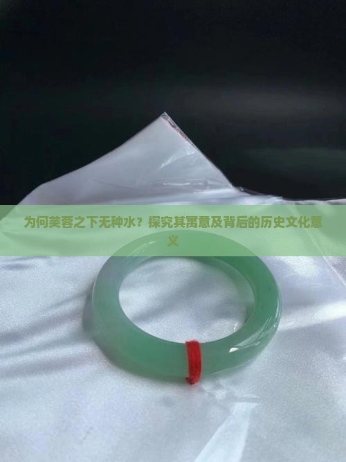 为何芙蓉之下无种水？探究其寓意及背后的历史文化意义