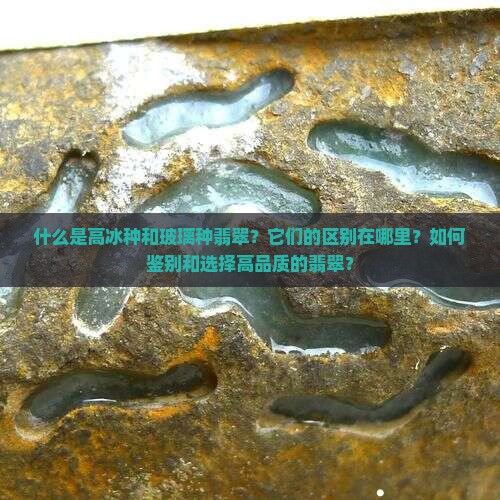 什么是高冰种和玻璃种翡翠？它们的区别在哪里？如何鉴别和选择高品质的翡翠？