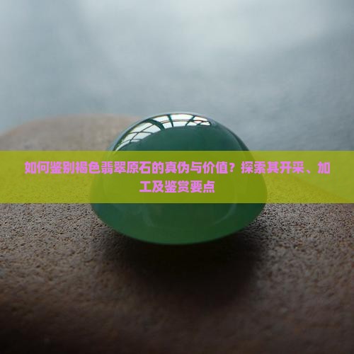 如何鉴别褐色翡翠原石的真伪与价值？探索其开采、加工及鉴赏要点